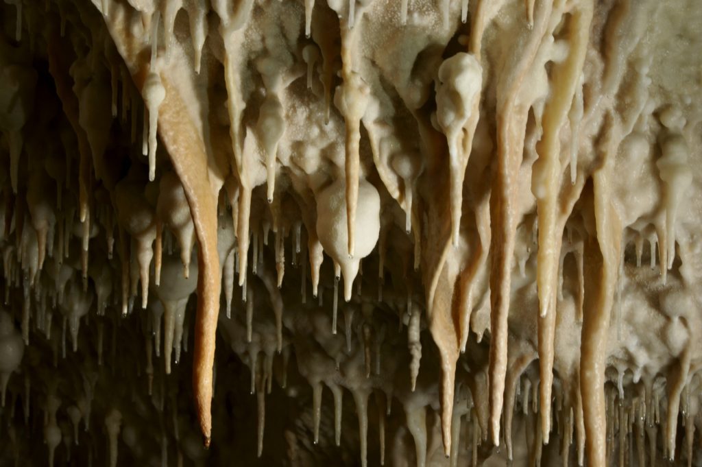 Demi journée découverte